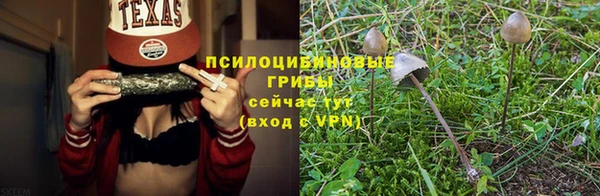 ешки Балахна