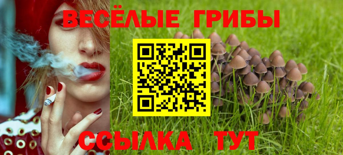 Галлюциногенные грибы мухоморы Качканар