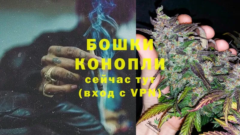 Шишки марихуана OG Kush  мега как зайти  Качканар  закладки 